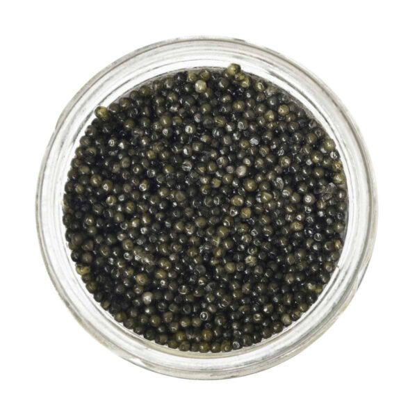 Ossetra Sturgeon Black Caviar, Pasteurized (100g) - Image 2